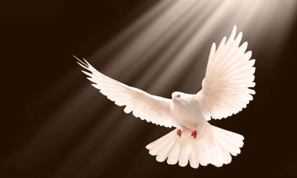 the Holy Spirit